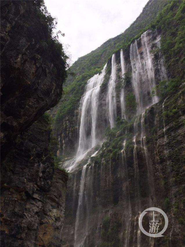 为什么医保断交一年就在湘税社保交不了?游戏画面